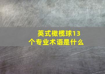 英式橄榄球13个专业术语是什么