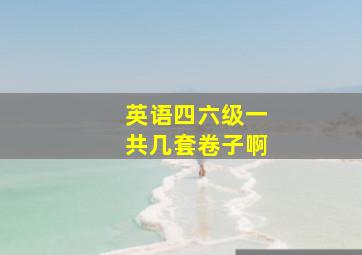 英语四六级一共几套卷子啊