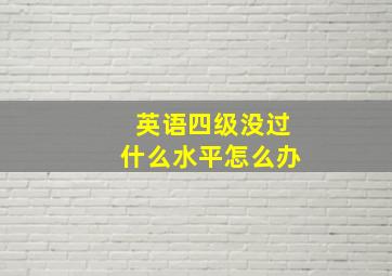 英语四级没过什么水平怎么办