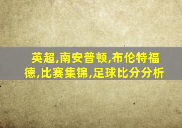 英超,南安普顿,布伦特福德,比赛集锦,足球比分分析