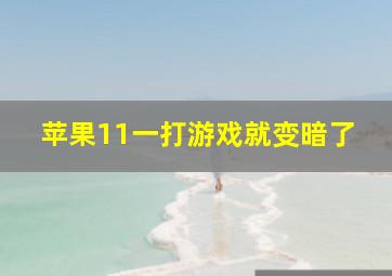 苹果11一打游戏就变暗了