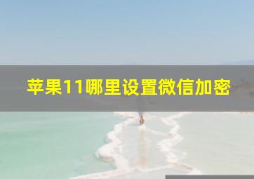 苹果11哪里设置微信加密