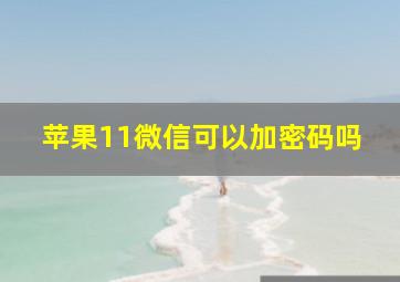 苹果11微信可以加密码吗