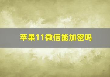 苹果11微信能加密吗