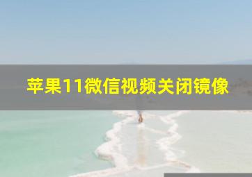 苹果11微信视频关闭镜像