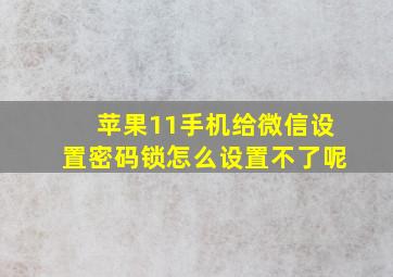 苹果11手机给微信设置密码锁怎么设置不了呢