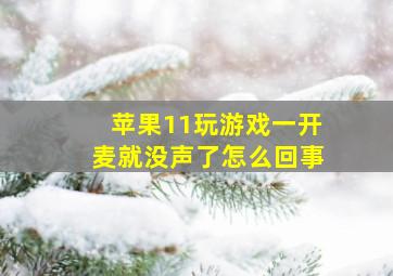 苹果11玩游戏一开麦就没声了怎么回事