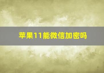 苹果11能微信加密吗