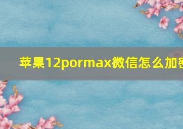 苹果12pormax微信怎么加密