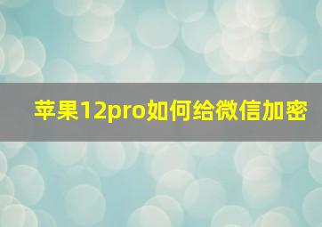 苹果12pro如何给微信加密