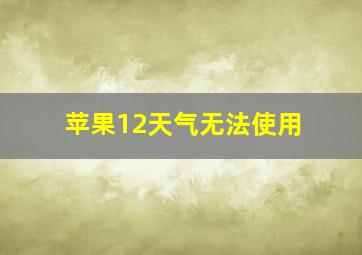 苹果12天气无法使用