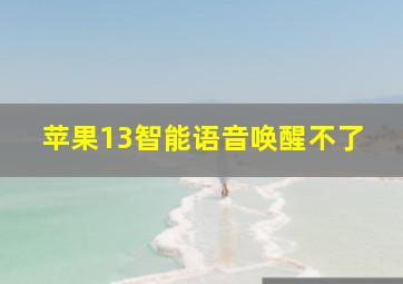 苹果13智能语音唤醒不了