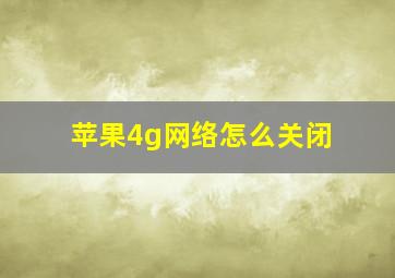 苹果4g网络怎么关闭