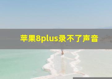 苹果8plus录不了声音