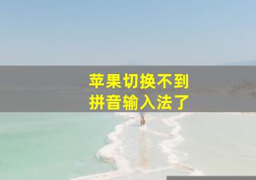 苹果切换不到拼音输入法了