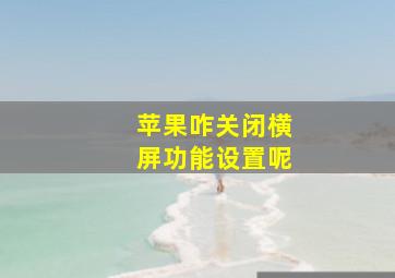 苹果咋关闭横屏功能设置呢