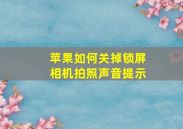 苹果如何关掉锁屏相机拍照声音提示