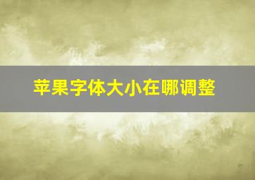 苹果字体大小在哪调整