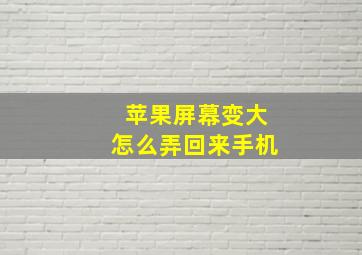 苹果屏幕变大怎么弄回来手机