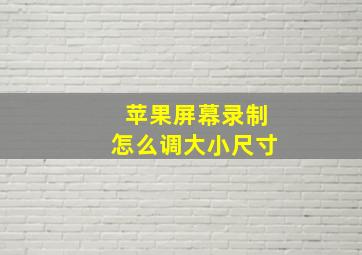 苹果屏幕录制怎么调大小尺寸