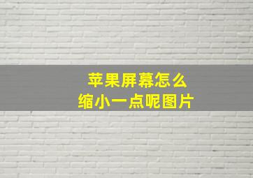 苹果屏幕怎么缩小一点呢图片