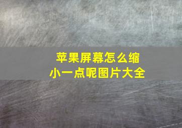 苹果屏幕怎么缩小一点呢图片大全