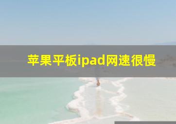 苹果平板ipad网速很慢