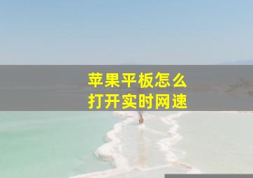 苹果平板怎么打开实时网速