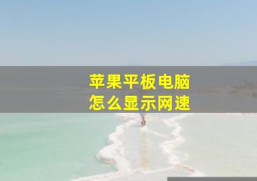 苹果平板电脑怎么显示网速