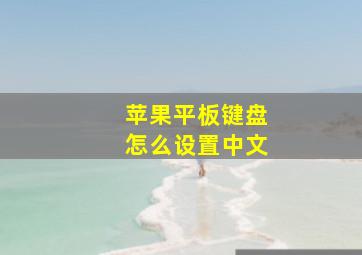 苹果平板键盘怎么设置中文