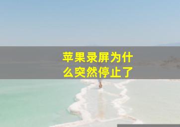 苹果录屏为什么突然停止了