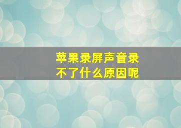 苹果录屏声音录不了什么原因呢