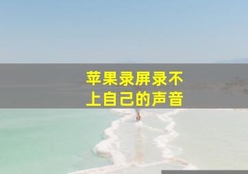 苹果录屏录不上自己的声音