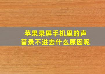 苹果录屏手机里的声音录不进去什么原因呢