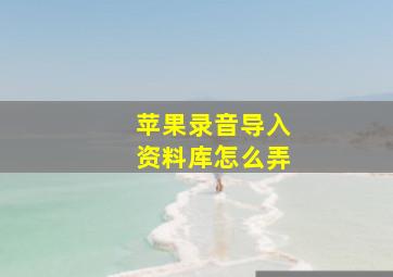 苹果录音导入资料库怎么弄