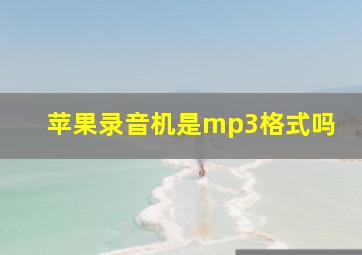 苹果录音机是mp3格式吗