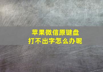 苹果微信原键盘打不出字怎么办呢