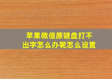 苹果微信原键盘打不出字怎么办呢怎么设置