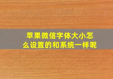 苹果微信字体大小怎么设置的和系统一样呢