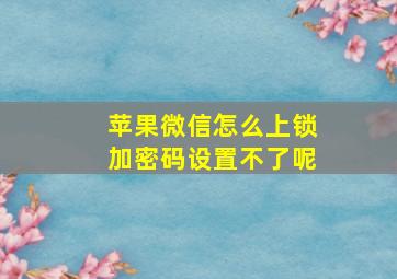 苹果微信怎么上锁加密码设置不了呢