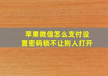 苹果微信怎么支付设置密码锁不让别人打开