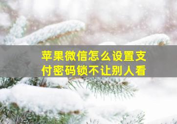 苹果微信怎么设置支付密码锁不让别人看