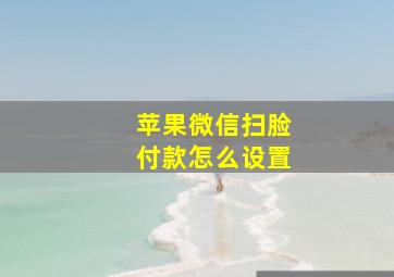 苹果微信扫脸付款怎么设置