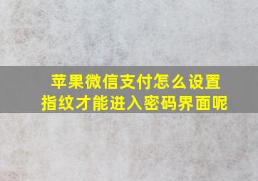 苹果微信支付怎么设置指纹才能进入密码界面呢