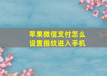 苹果微信支付怎么设置指纹进入手机