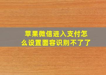 苹果微信进入支付怎么设置面容识别不了了