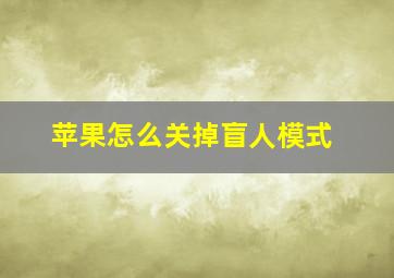 苹果怎么关掉盲人模式