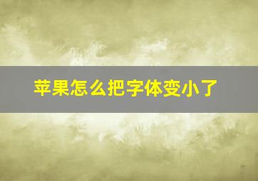 苹果怎么把字体变小了