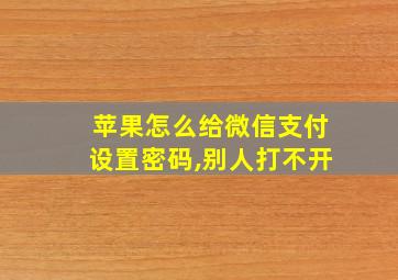 苹果怎么给微信支付设置密码,别人打不开