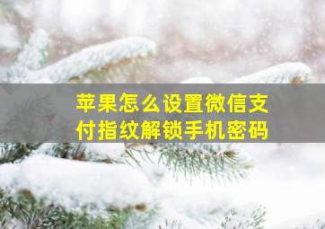 苹果怎么设置微信支付指纹解锁手机密码